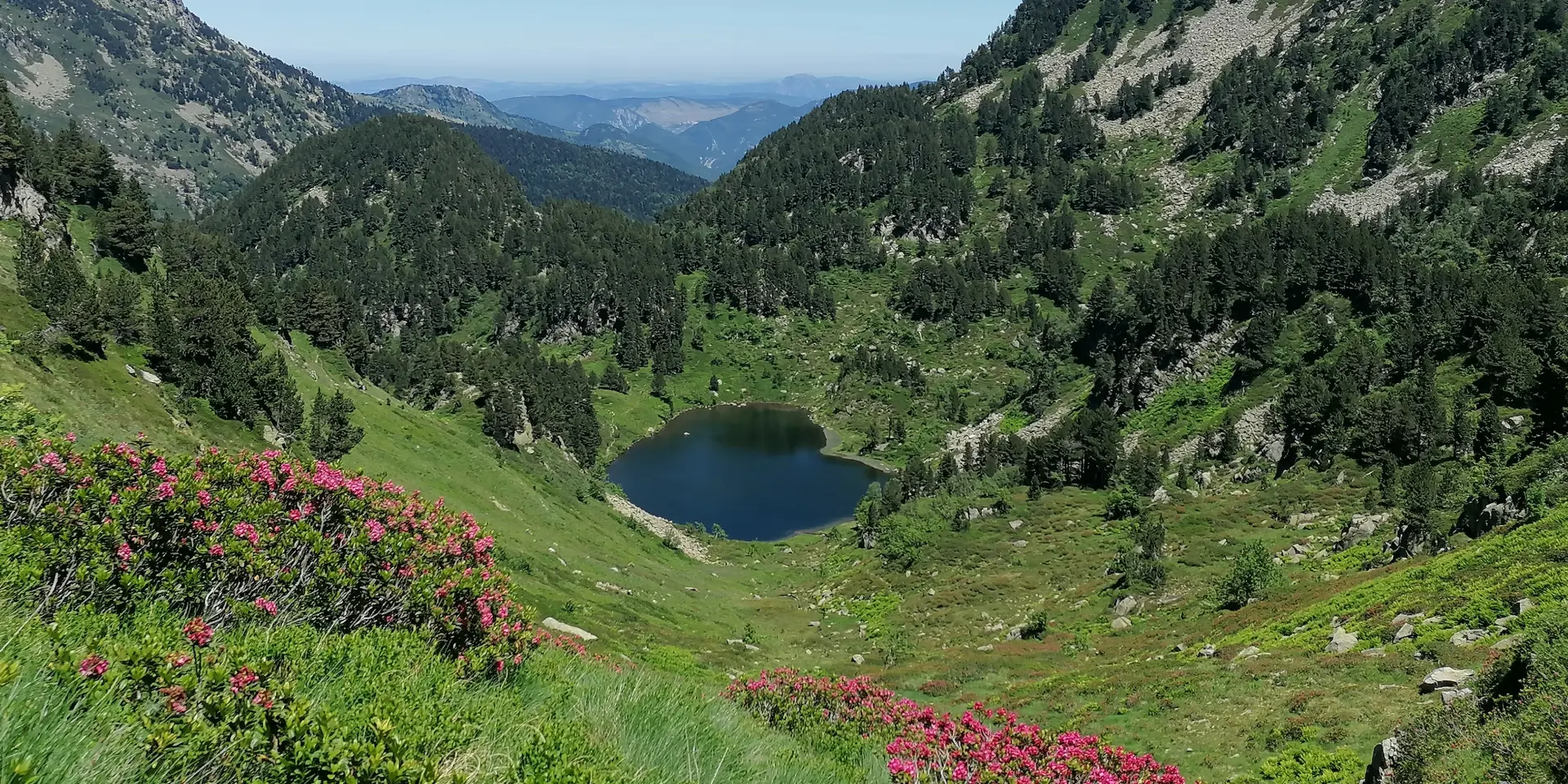 Un lac de montagne paisible entouré de forêts et de montagnes