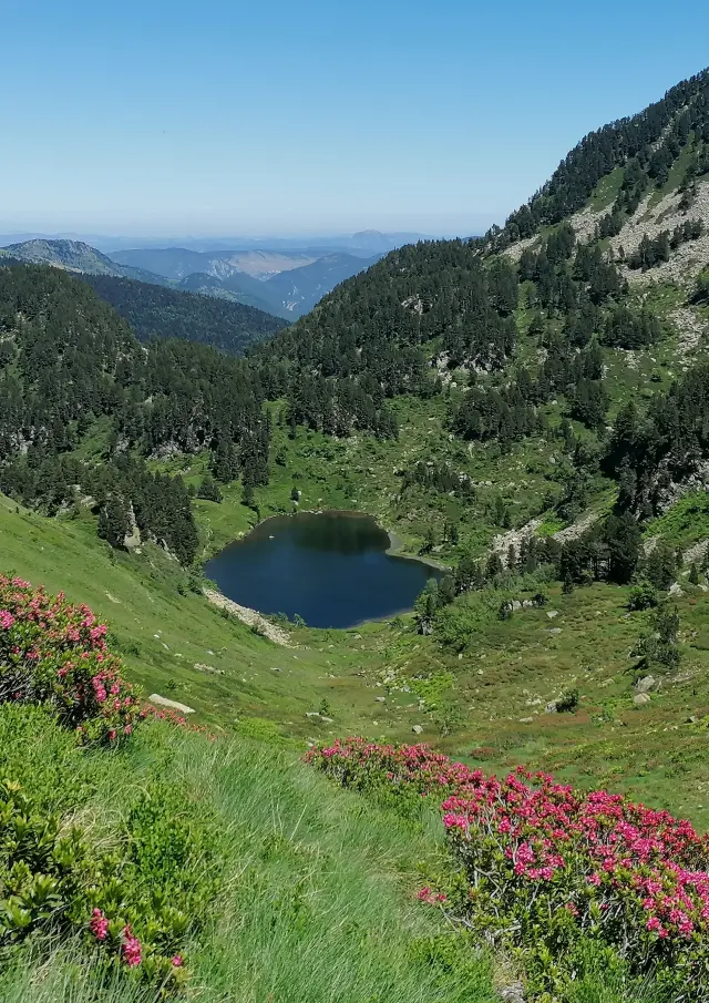 Un lac de montagne paisible entouré de forêts et de montagnes