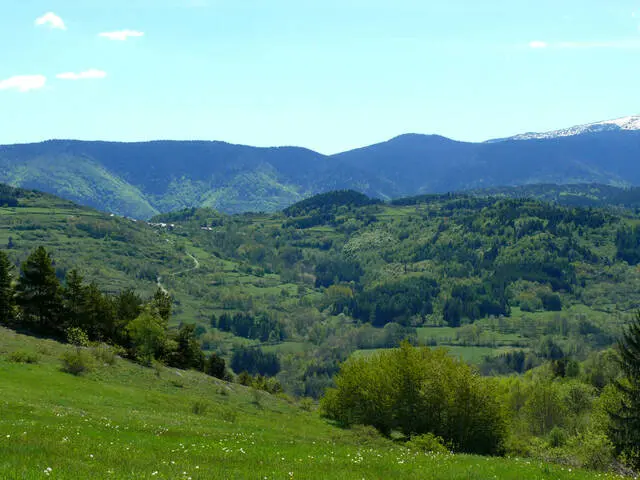 Valle verde con colinas y árboles bajo un cielo azul claro