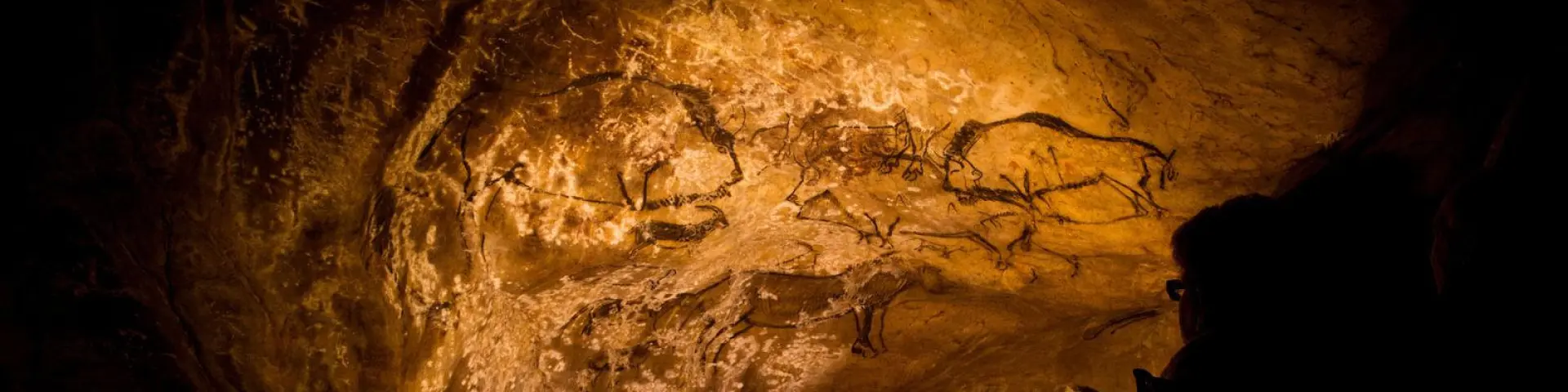 Group of people observing cave paintings in a cave