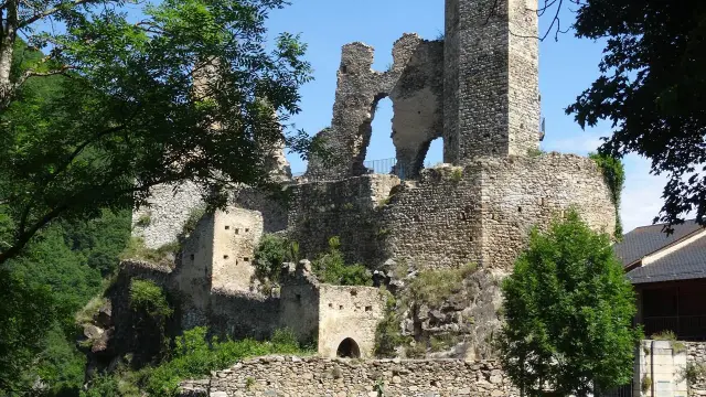 Ruines d'un château médiéval entouré d'arbres et de végétation