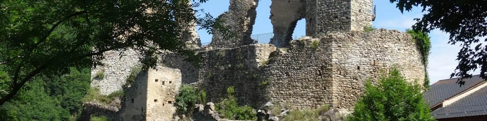 Ruins of a medieval castle surrounded by trees and vegetation