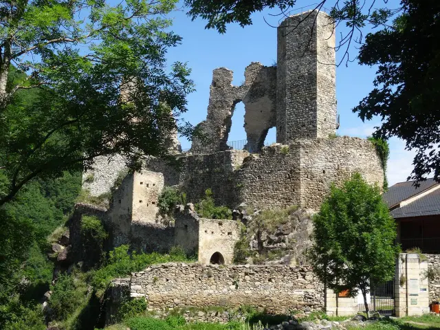Ruins of a medieval castle surrounded by trees and vegetation