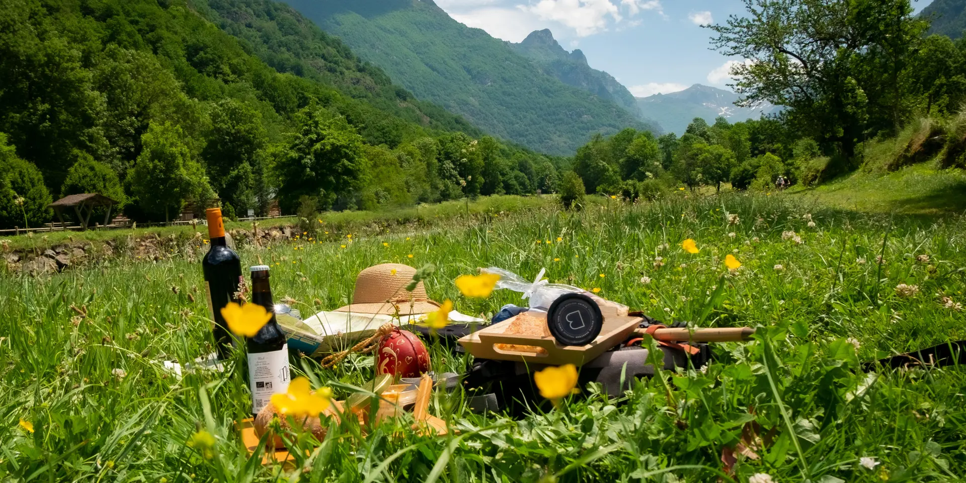 A picnic with wine bottles and baskets in the wilderness