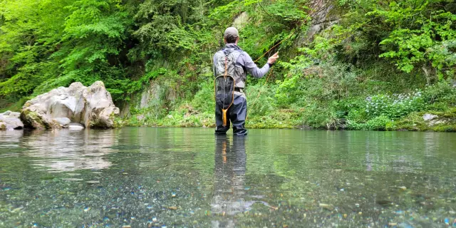 Un pêcheur en waders dans une rivière avec une canne à pêche