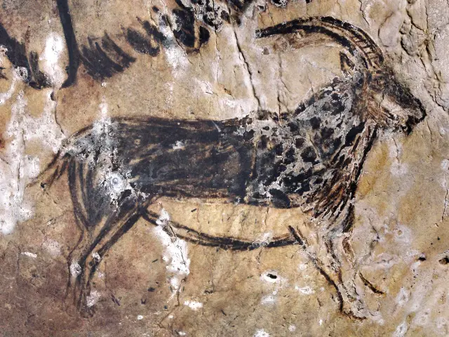 Peinture rupestre représentant un bouquetin avec des cornes courbées