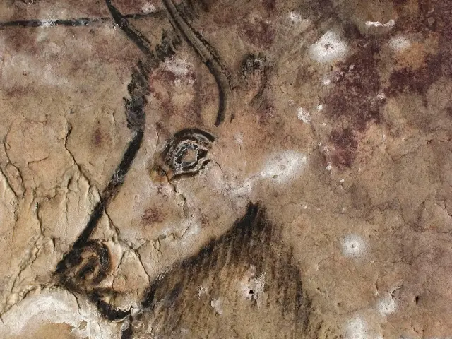 Dessin de chevaux et de mains sur une paroi rocheuse