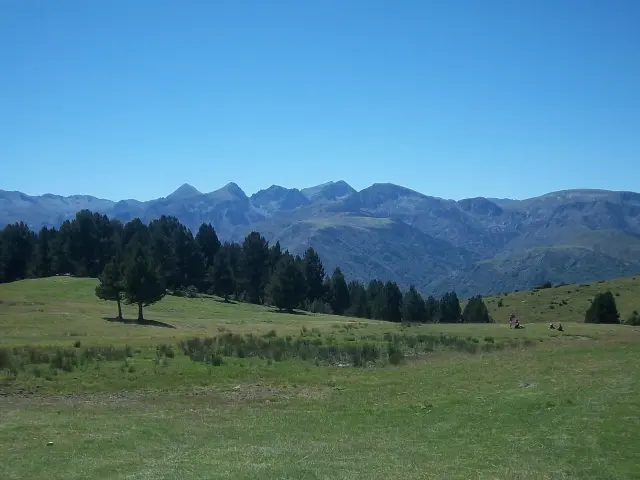 Green hills with trees and mountains in the background
