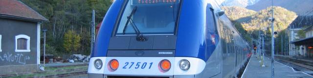 Ter