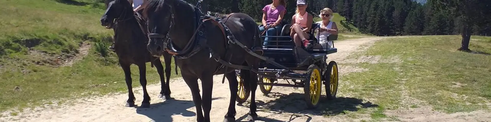 A horse-drawn carriage pulled by two horses with three people on board on a dirt path in the mountains