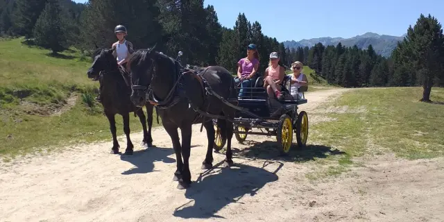 Une calèche tirée par deux chevaux avec trois personnes à bord sur un chemin de terre en montagne