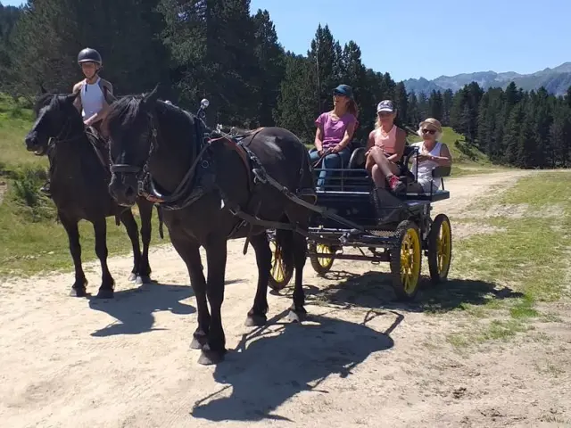 Un carruaje tirado por dos caballos con tres personas a bordo en un camino de tierra en la montaña