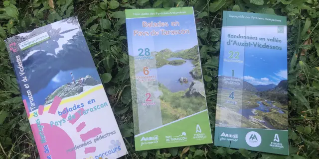 Three hiking brochures placed on green leaves