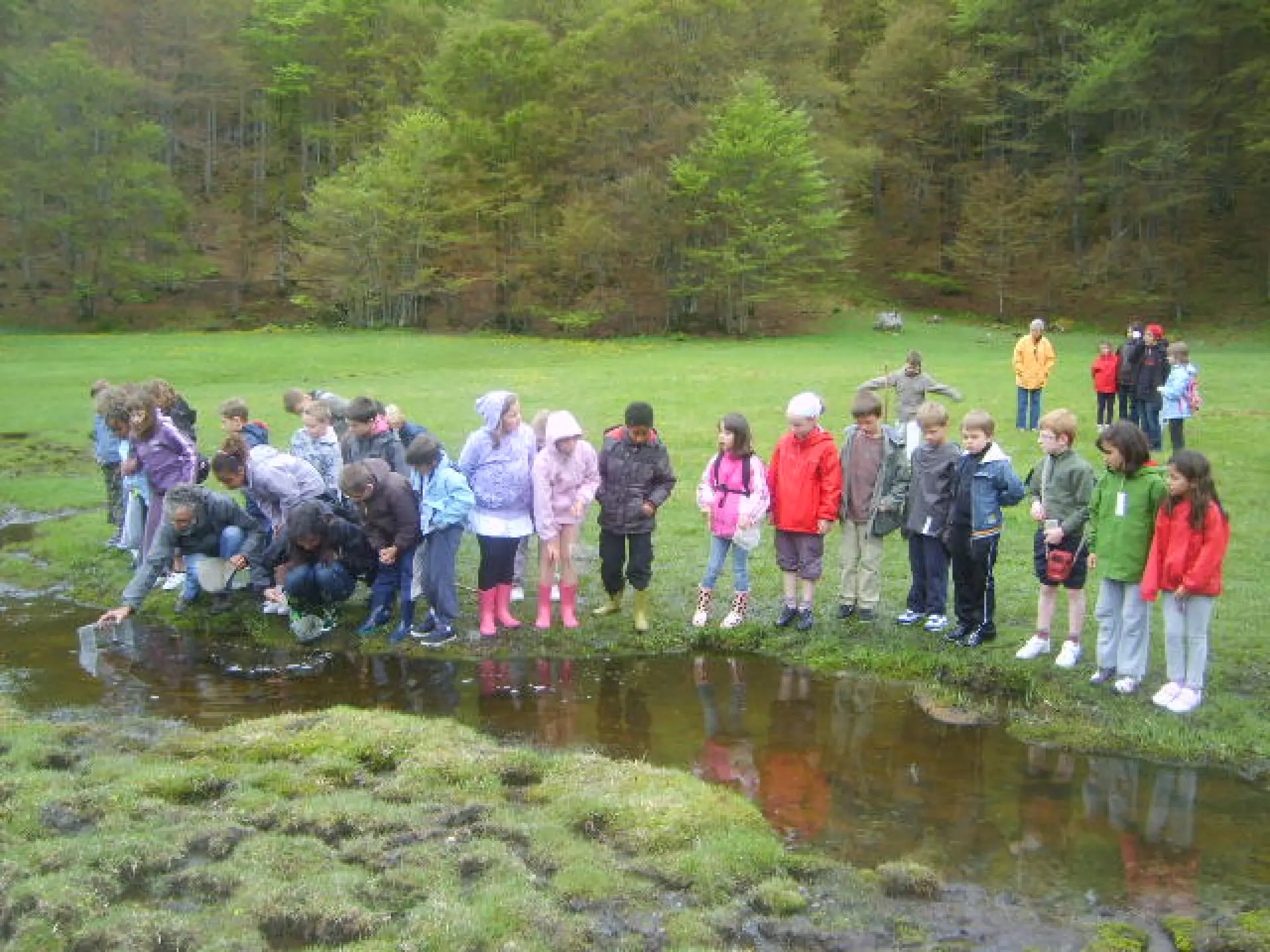 A group of children observing a stream in a wooded area
