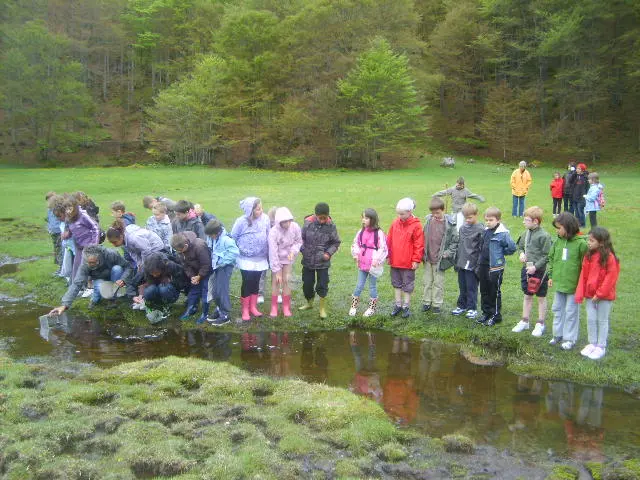 A group of children observing a stream in a wooded area