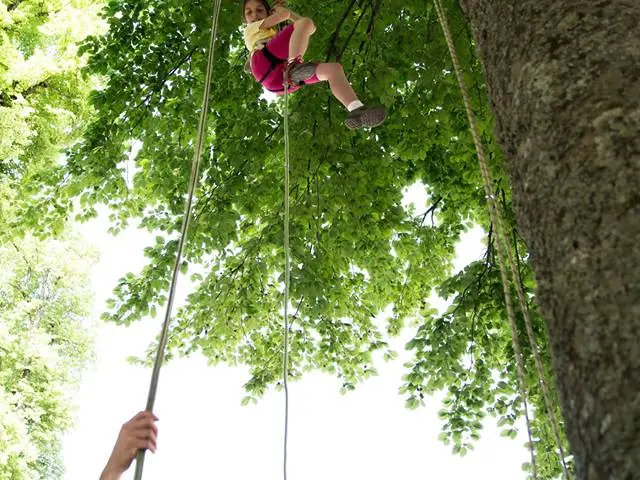 A man pushes a little girl on a swing in a park
