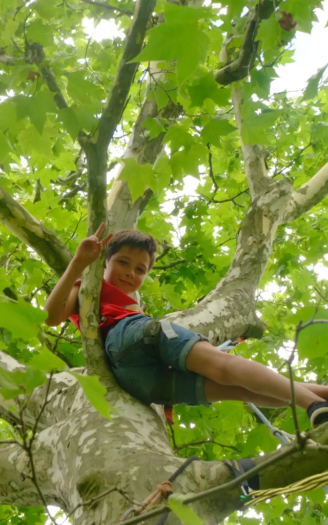 A child climbing a tree with green leaves
