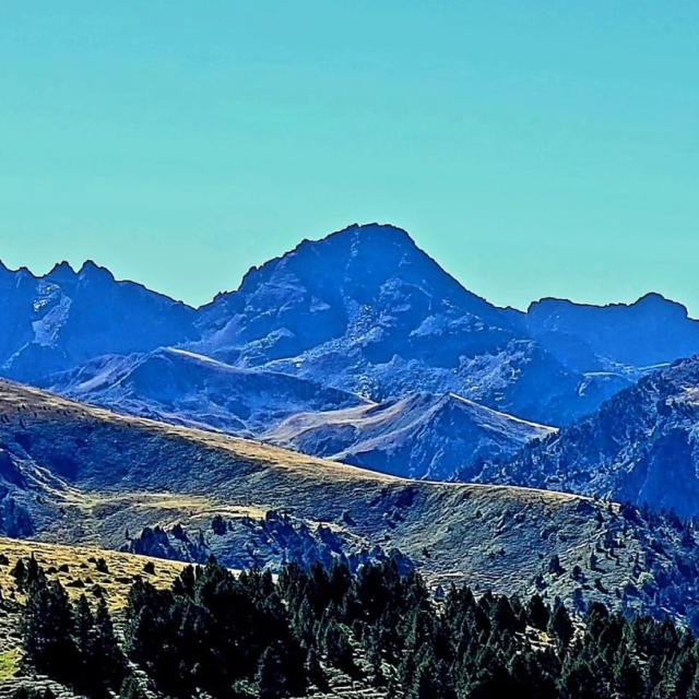 Instagram #pyreneesariegeoises