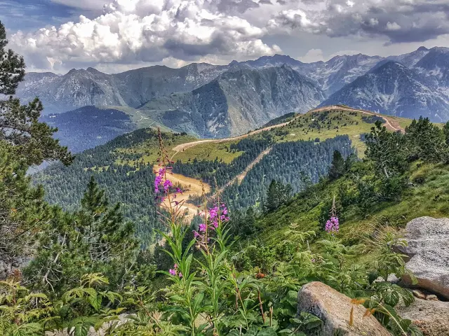 Vue panoramique de montagnes verdoyantes avec des fleurs sauvages en premier plan