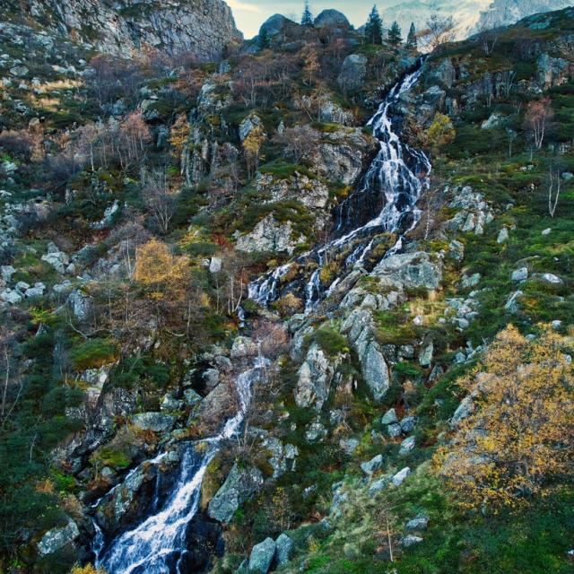 Instagram #pyreneesariegeoises