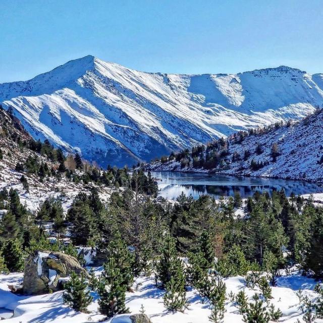 Instagram #pyreneesariegeoises