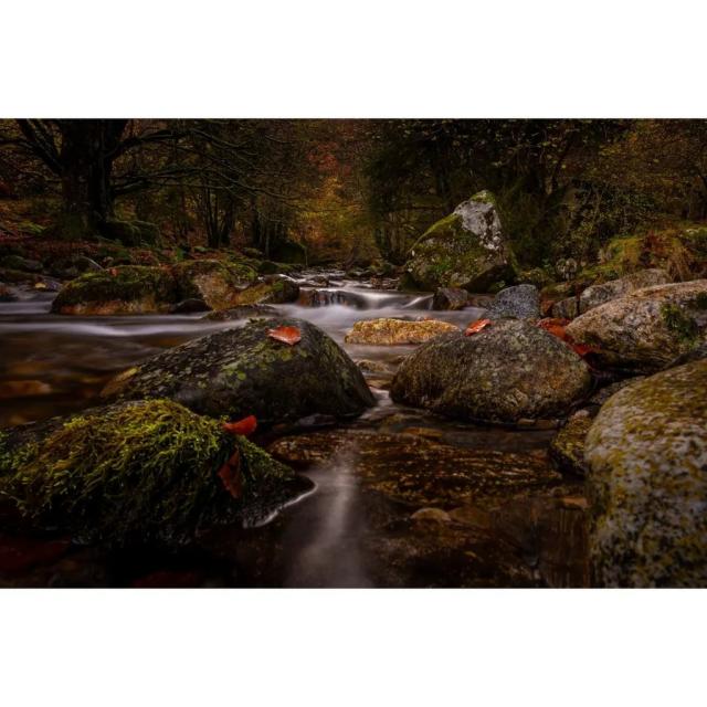 Instagram #pyreneesariegeoises
