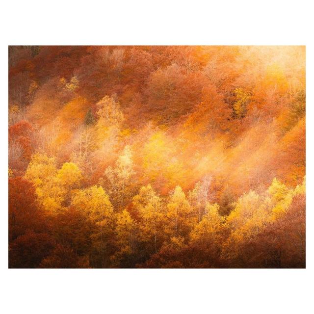 Instagram #pyreneesariegeoises