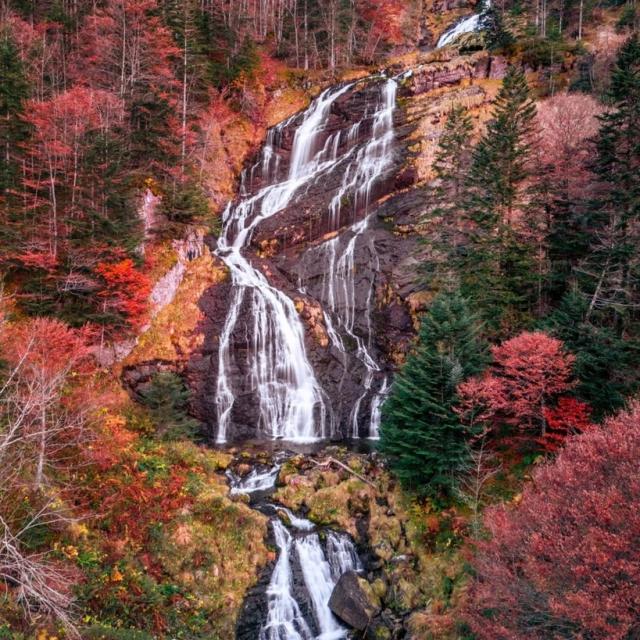 Instagram #pyreneesariegeoises
