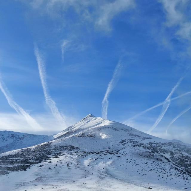 Instagram #pyreneesariegeoises