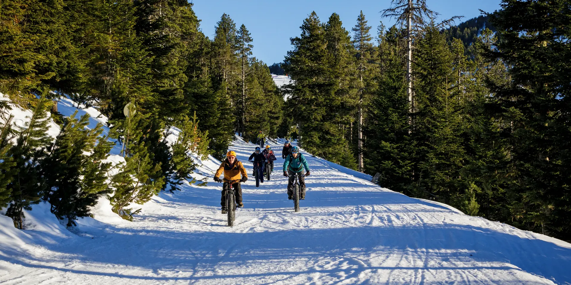 Group of cyclists on a snowy trail in the forest