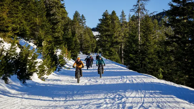 Group of cyclists on a snowy trail in the forest