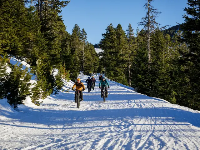 Groupe de cyclistes sur un sentier enneigé en forêt