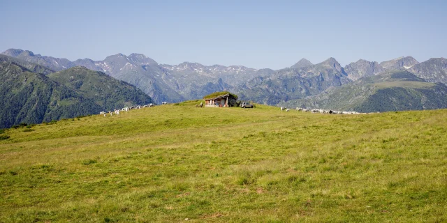 2022 Vue Beille Ete Cabane Des Isarges Adt09 Stephane Meurisse
