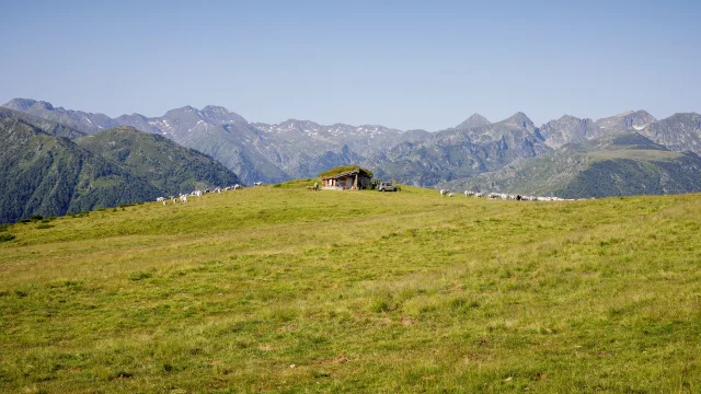 2022 Vue Beille Ete Cabane Des Isarges Adt09 Stephane Meurisse