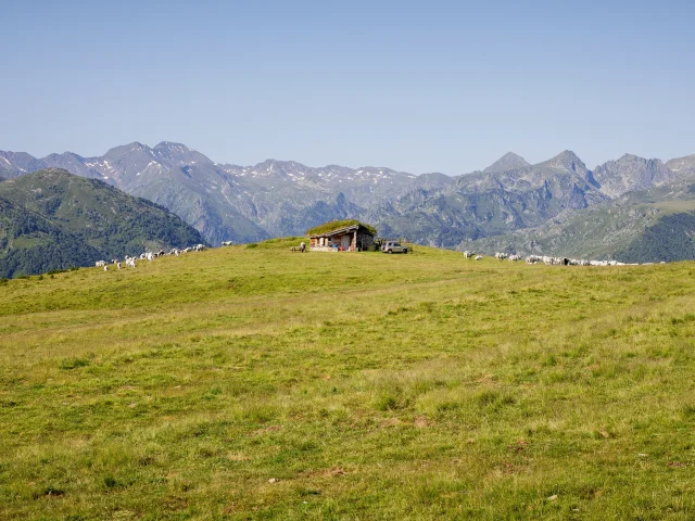 2022 Vue Beille Ete Cabane Des Isarges Adt09 Stephane Meurisse