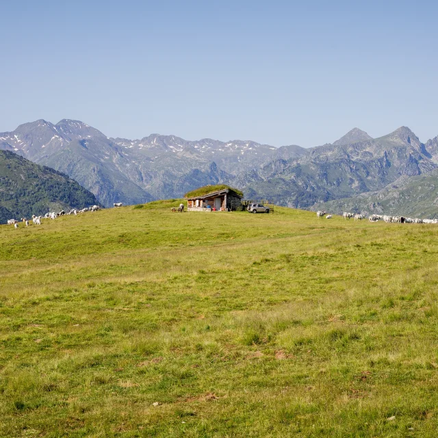 2022 Vue Beille Ete Cabane Des Isarges Adt09 Stephane Meurisse