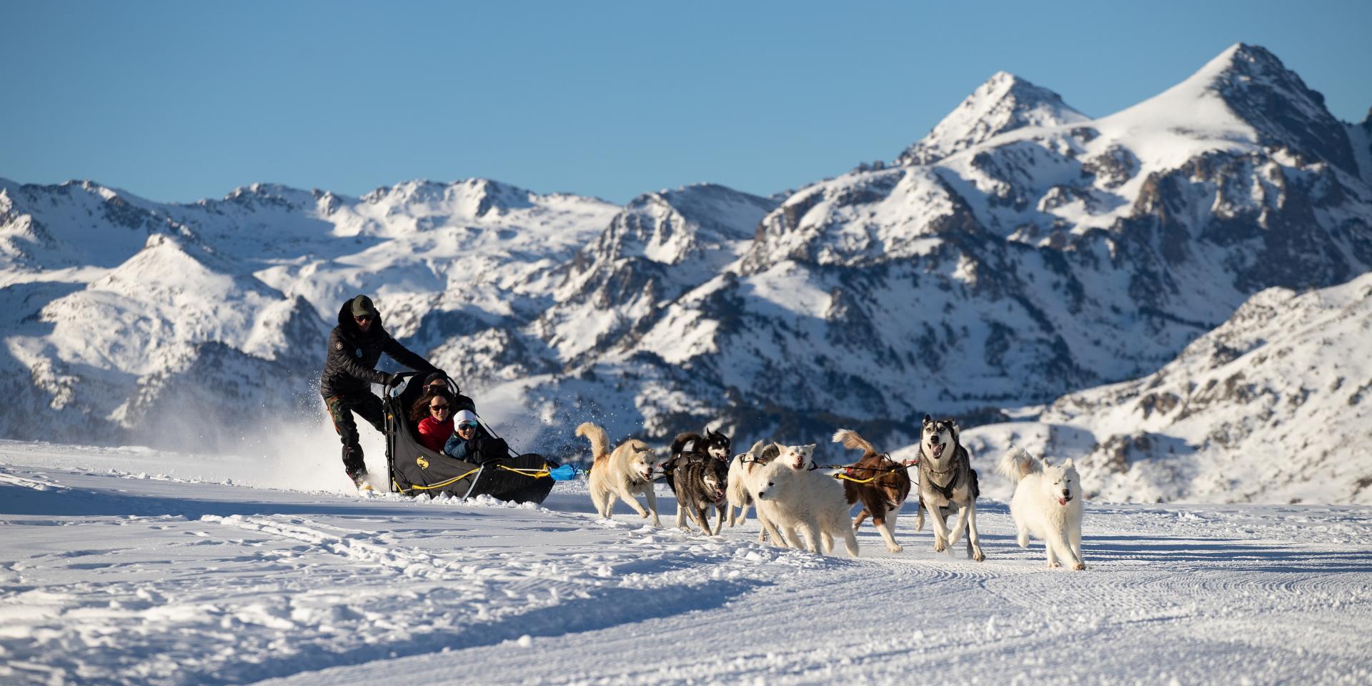 Traîneau tiré par des chiens dans un paysage enneigé