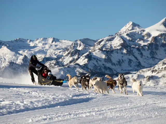 Traîneau tiré par des chiens dans un paysage enneigé