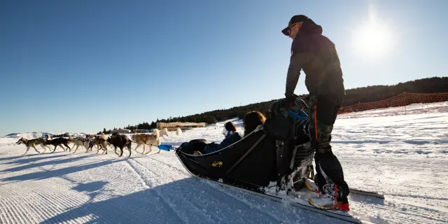 Un homme guide un traîneau tiré par des chiens de traîneau sur la neige