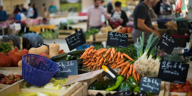 Display of fresh vegetables with price tags