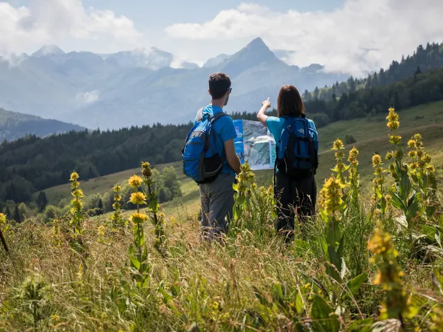 Deux randonneurs avec des sacs à dos regardent une carte dans un champ de fleurs sauvages en montagne