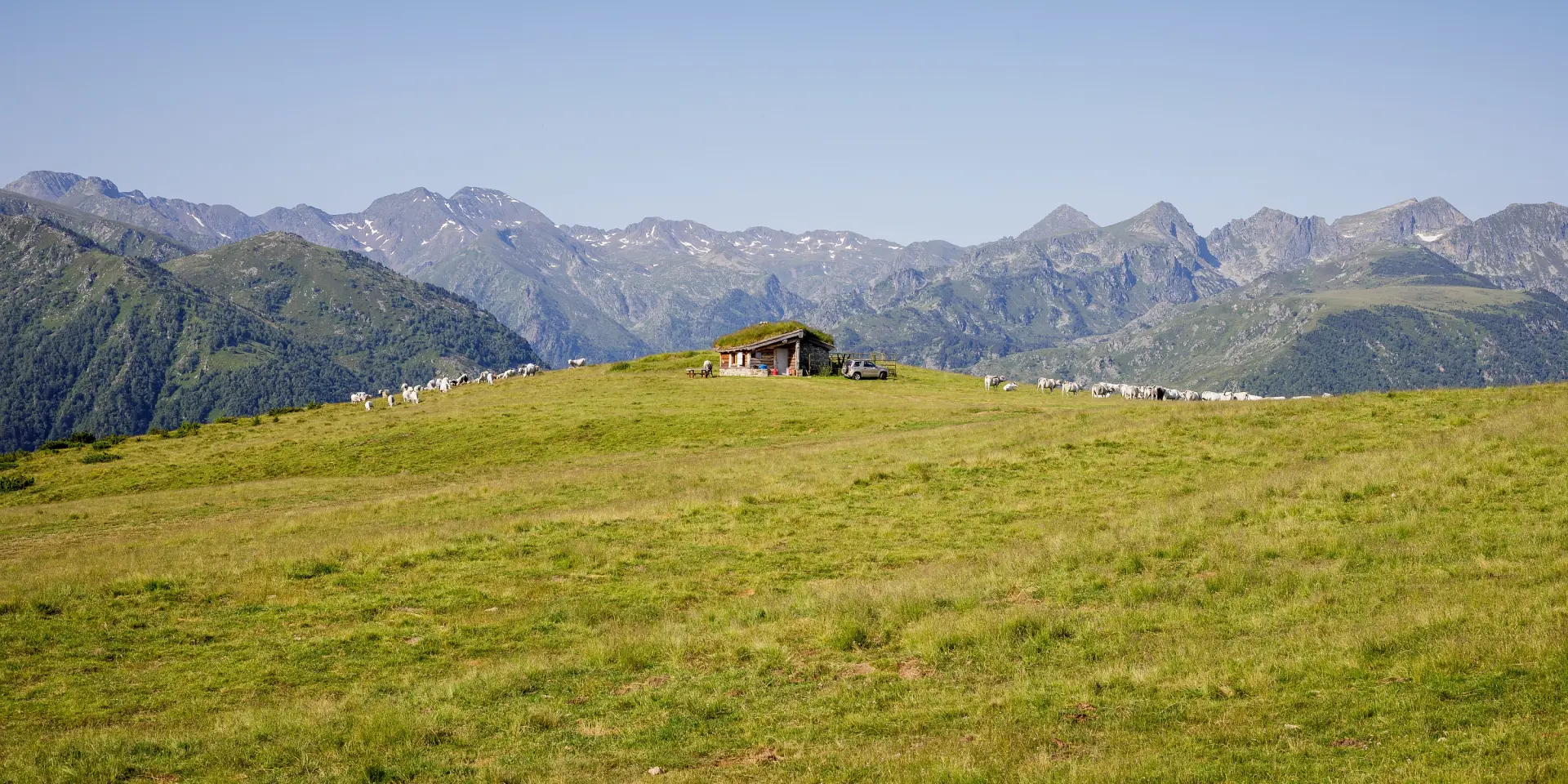 Cabane isolée dans un champ avec des moutons et des montagnes en arrière-plan