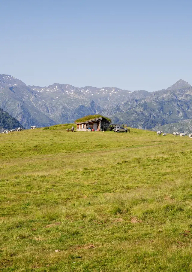 Cabane isolée dans un champ avec des moutons et des montagnes en arrière-plan