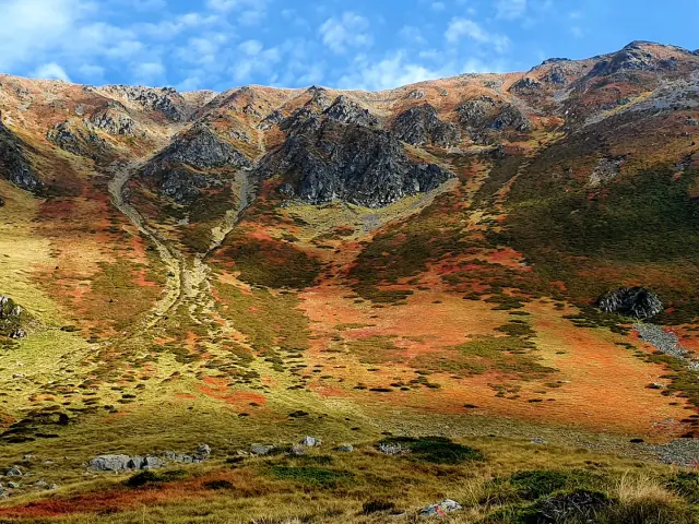 Montagnes avec des sentiers et une végétation automnale
