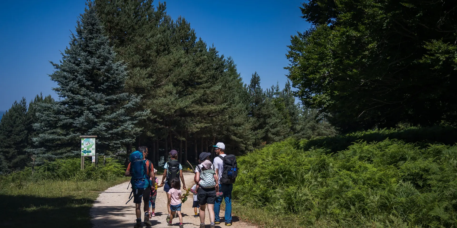 Une famille marche sur un sentier forestier