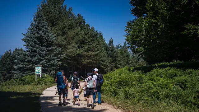 Une famille marche sur un sentier forestier