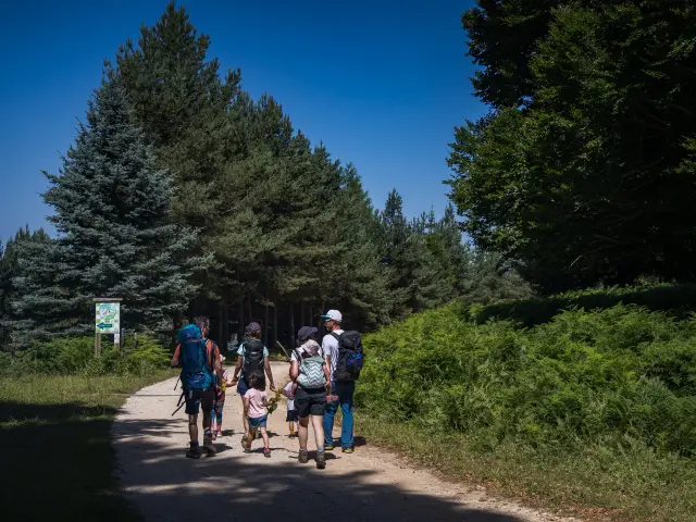 Una familia camina por un sendero en el bosque