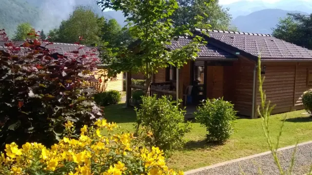 Cabane en bois entourée de verdure et de fleurs jaunes