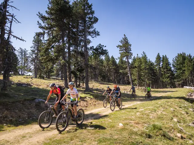 Groupe de cyclistes sur un sentier de montagne