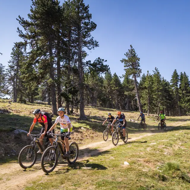 Groupe de cyclistes sur un sentier de montagne